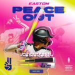 2025 Easton The Dub - USSSA -5 Drop | 2 3/4" 31 Inch - Image 2